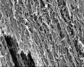 取向性多壁碳納米管JCAMT-98-11-40，JCAMT-95-16-60（Oriented Carbon Nanotubes,O-CNTs）
